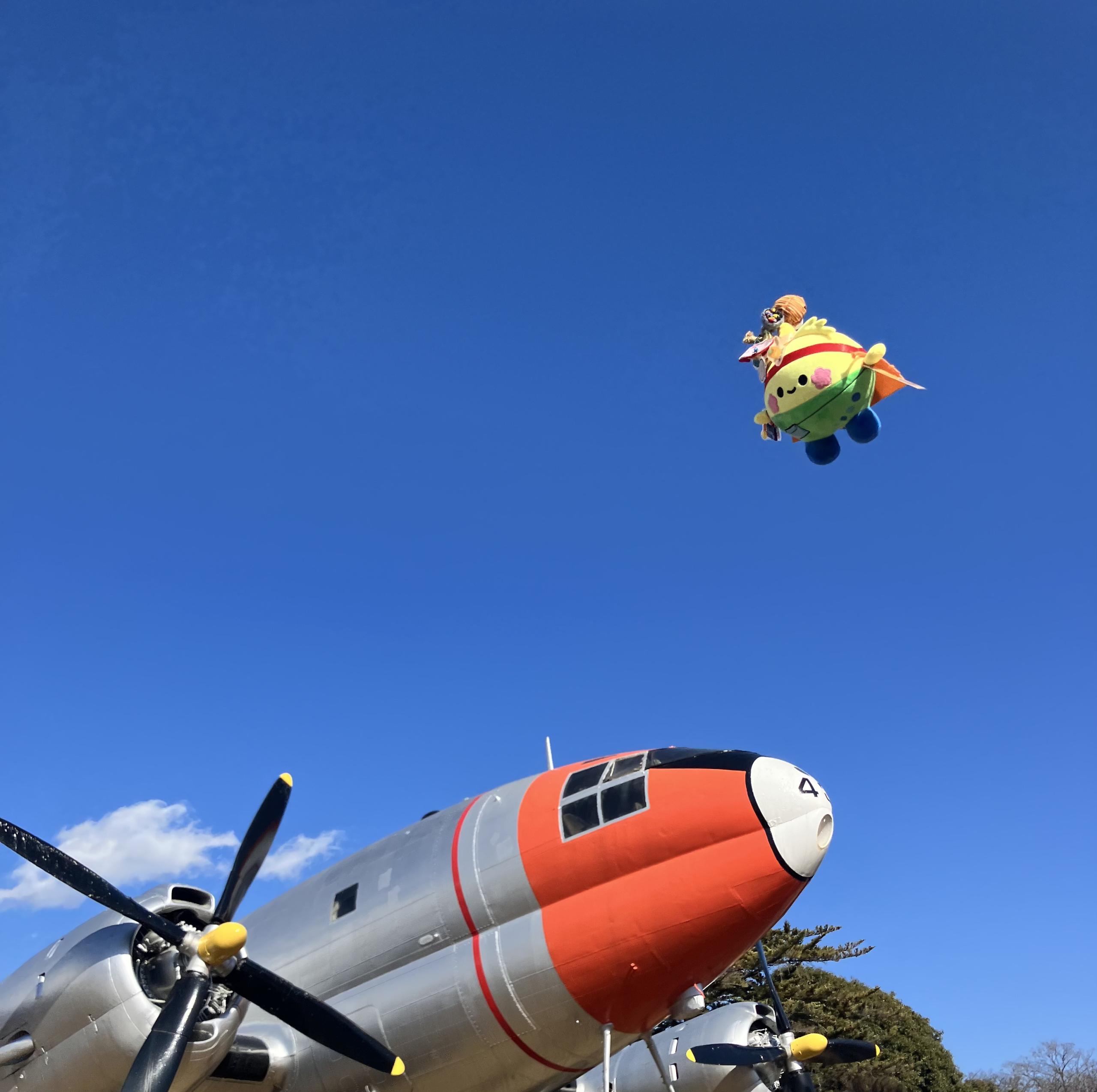 ソヨぐるみ　全国旅するフォトギャラリー（2/12更新）